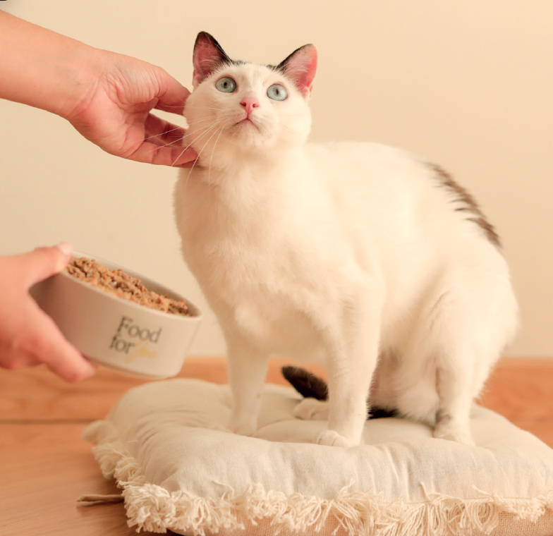 Porkitup - Pork Cat Food 200g