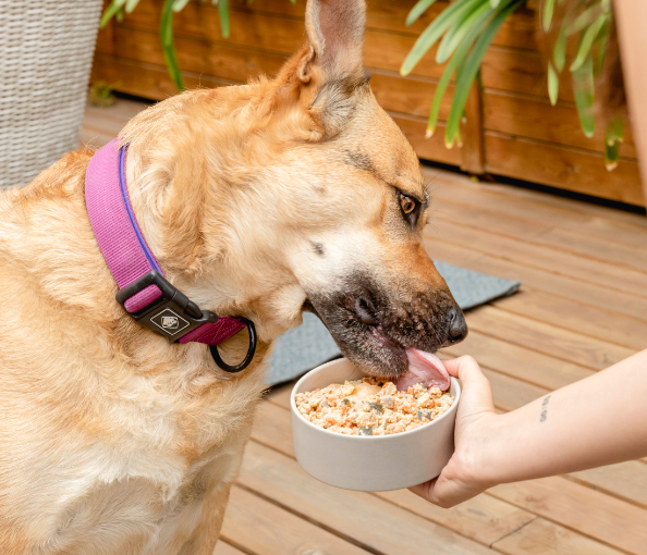 Bigfish - Fish Meal for Dogs 200g